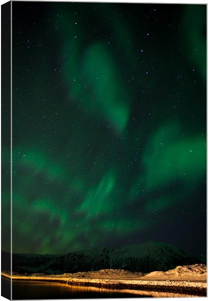 Northern lights over Laukvik Canvas Print by Thomas Schaeffer