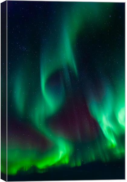 Northern light over Laukvik Canvas Print by Thomas Schaeffer