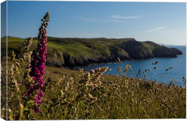 Sunset at Strumble Head Lighthouse Canvas Print by Thomas Schaeffer