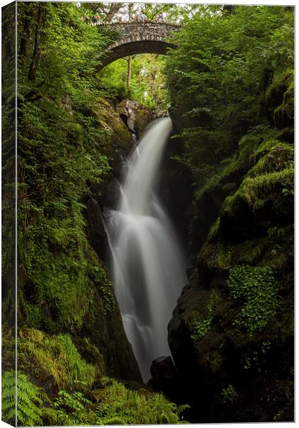 Aira Force Waterfall Canvas Print by Thomas Schaeffer