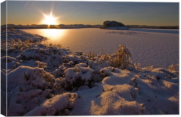 Winter lake Canvas Print by Thomas Schaeffer