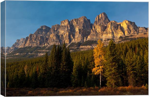 Bow Valley Parkway Canvas Print by Thomas Schaeffer