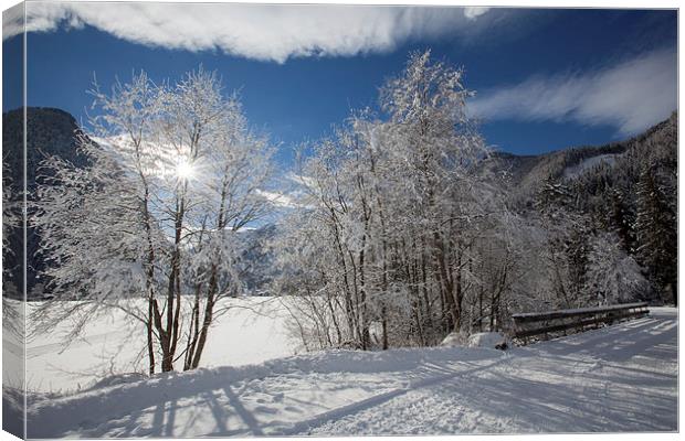 Winter in the alps Canvas Print by Thomas Schaeffer