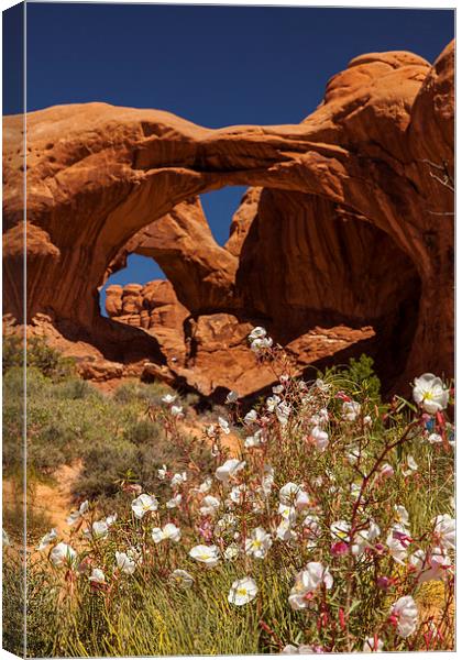 Double Arch Canvas Print by Thomas Schaeffer