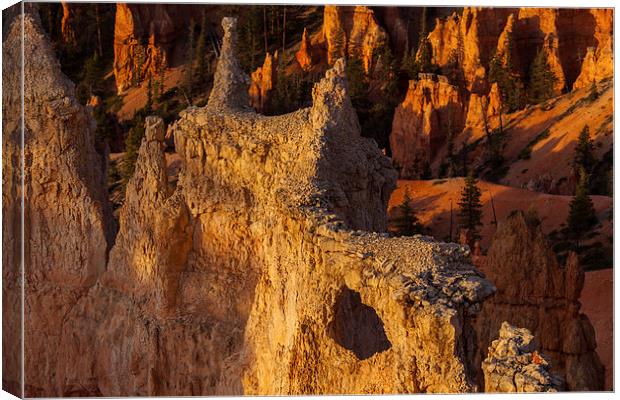 Sunrise at Bryce Canyon Canvas Print by Thomas Schaeffer
