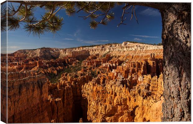 Navajo Loop & Queens Garden Trail Canvas Print by Thomas Schaeffer