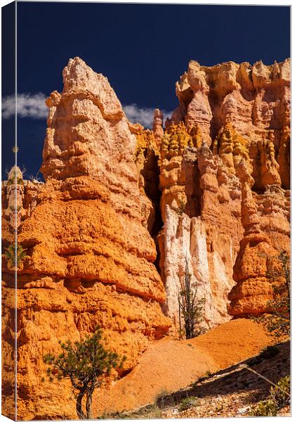 Navajo Loop & Queens Garden Trail Canvas Print by Thomas Schaeffer