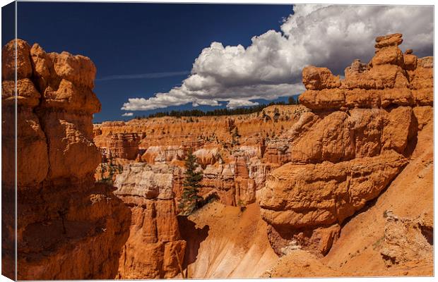 Navajo Loop & Queens Garden Trail Canvas Print by Thomas Schaeffer