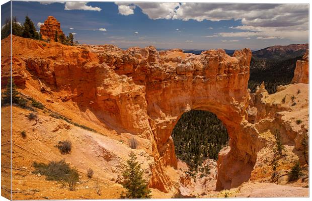 Natural Bridge Canvas Print by Thomas Schaeffer