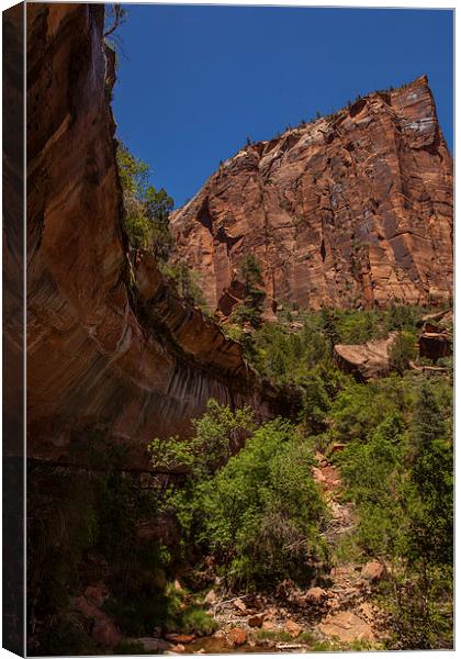 Hike to the Emerald Pool Canvas Print by Thomas Schaeffer