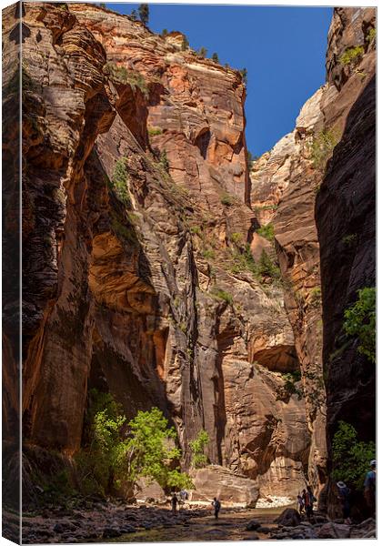 The Narrows, Zion NP Canvas Print by Thomas Schaeffer