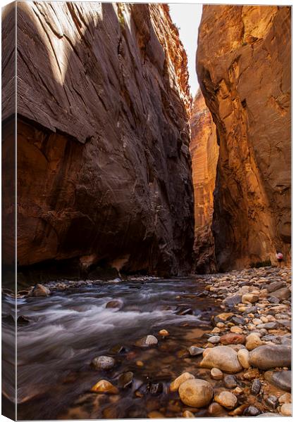 The Narrows, Zion NP Canvas Print by Thomas Schaeffer