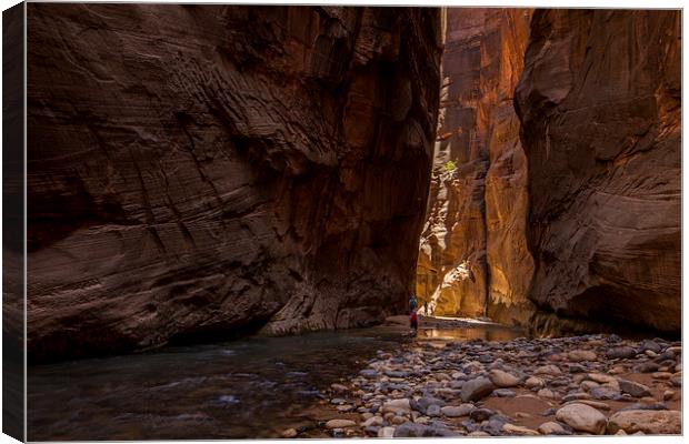 The Narrows, Zion NP Canvas Print by Thomas Schaeffer