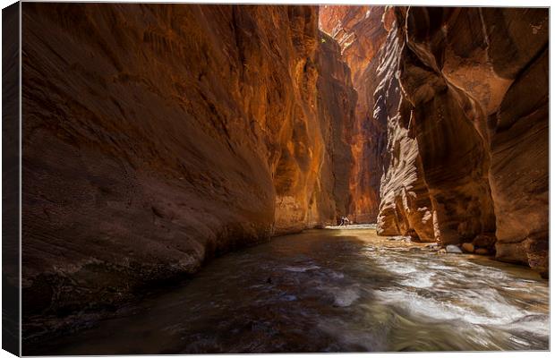 The Narrows, Zion NP Canvas Print by Thomas Schaeffer