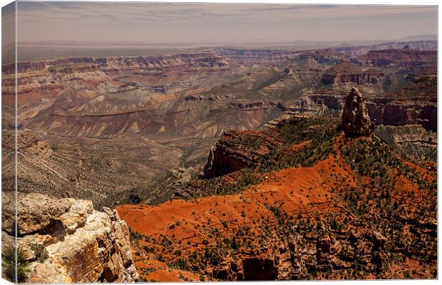 North Rim @ Imperial Point Canvas Print by Thomas Schaeffer