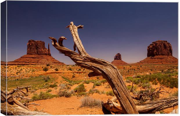 Monument Valley Canvas Print by Thomas Schaeffer