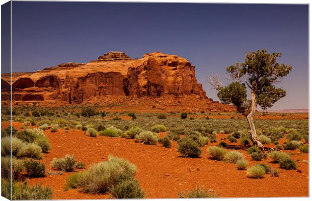 Monument Valley Canvas Print by Thomas Schaeffer