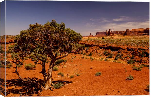 Monument Valley Canvas Print by Thomas Schaeffer