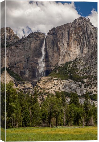 Yosemite Falls Canvas Print by Thomas Schaeffer