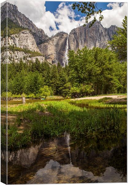 Yosemite Falls Canvas Print by Thomas Schaeffer