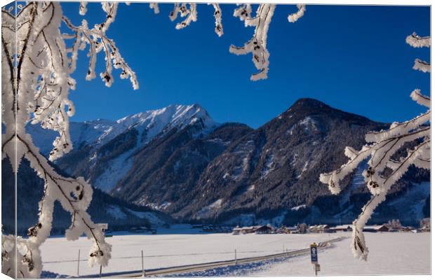 Winter morning Canvas Print by Thomas Schaeffer