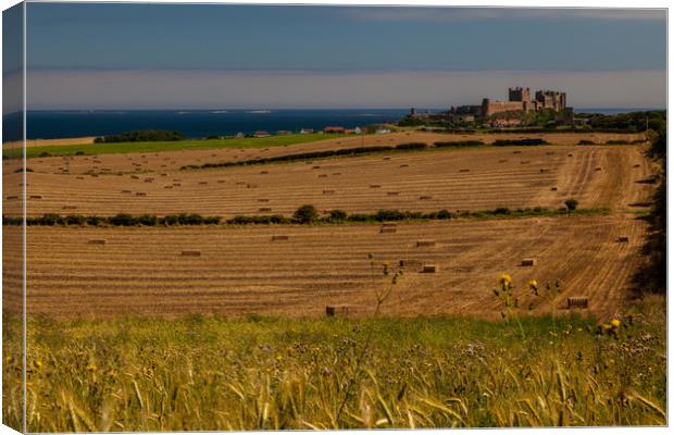 Bamburgh Castle Canvas Print by Thomas Schaeffer