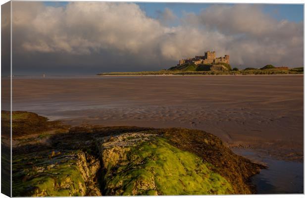 Bamburgh Castle @ sunset Canvas Print by Thomas Schaeffer