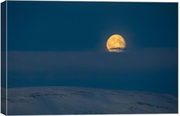 Arctic Moonset Canvas Print by Thomas Schaeffer
