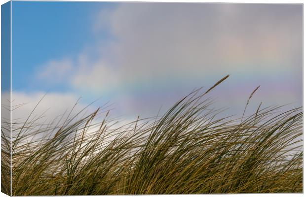 Rainbow dunes Canvas Print by Thomas Schaeffer