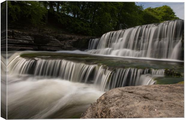 Aysgarth Falls Canvas Print by Thomas Schaeffer