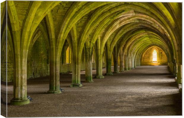 Fountains Abbey Canvas Print by Thomas Schaeffer