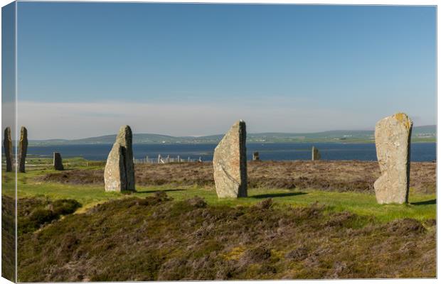 Ring of Brodgar Canvas Print by Thomas Schaeffer