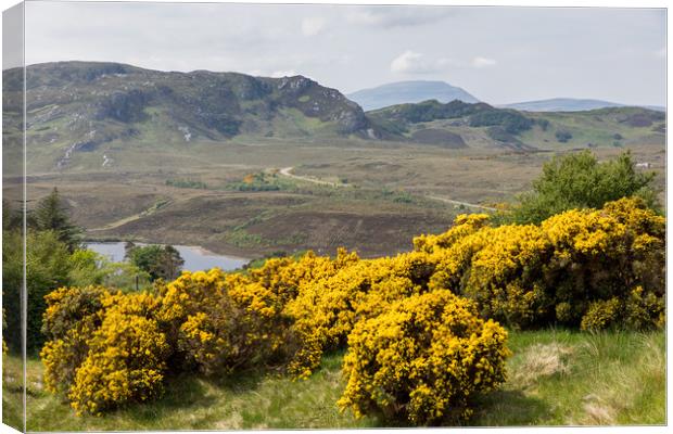 Scottish Northcoast Canvas Print by Thomas Schaeffer