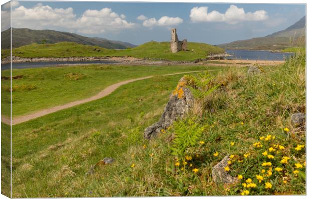 Ardvreck Castle Canvas Print by Thomas Schaeffer