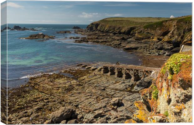 Lizard Point Canvas Print by Thomas Schaeffer