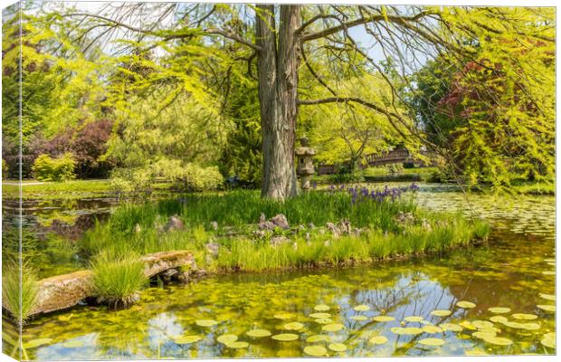 Japanese Garden Canvas Print by Thomas Schaeffer