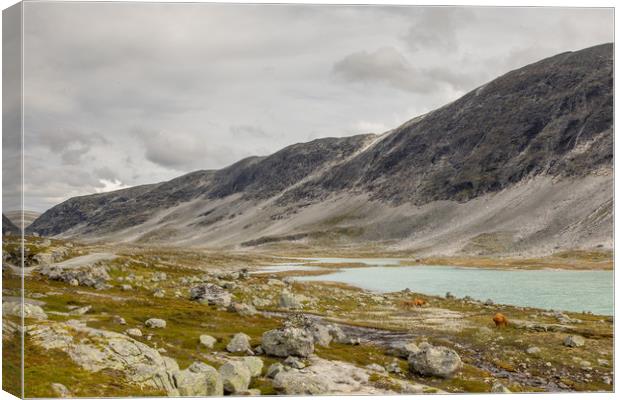 Gamle Strynefjellsvegen Canvas Print by Thomas Schaeffer