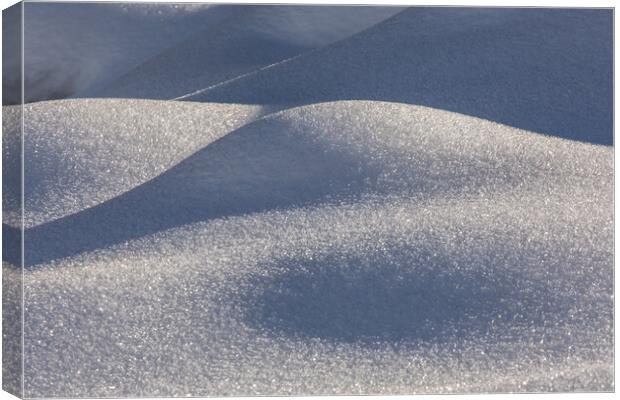 snow shadow Canvas Print by Thomas Schaeffer
