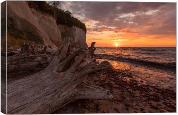 Kreidefelsen Sunrise Canvas Print by Thomas Schaeffer