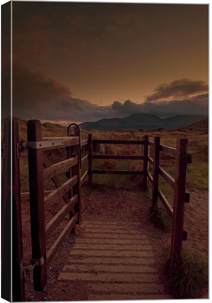 Gateway to the Mournes Canvas Print by pauline morris