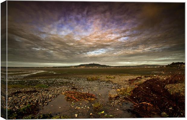 View of Scrabo Canvas Print by pauline morris