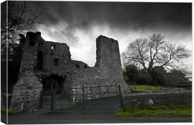 Monastic Site at Nendrum Canvas Print by pauline morris