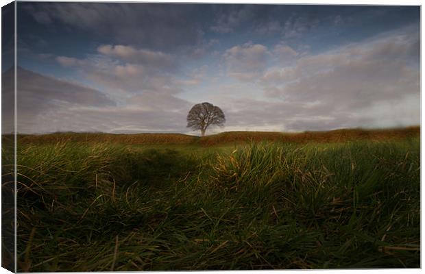 Giant's Ring Canvas Print by pauline morris