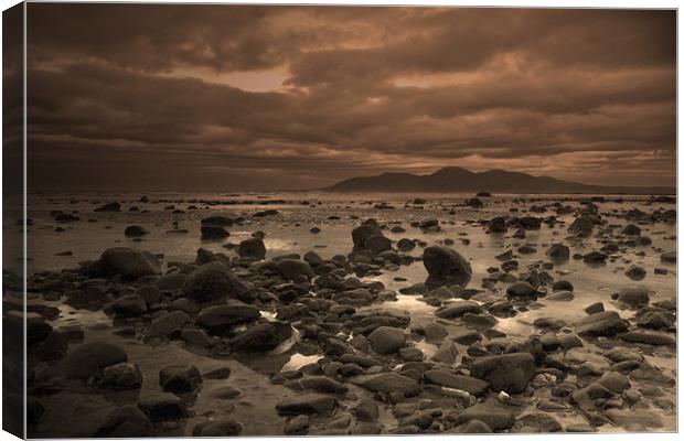 Ruggedness at Rossglass Canvas Print by pauline morris