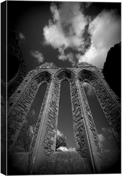 Inch Abbey Canvas Print by pauline morris