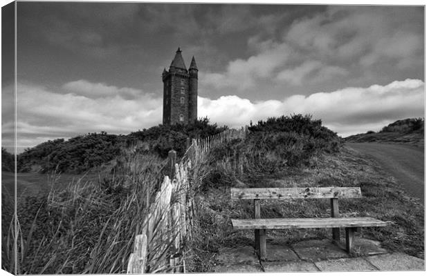 A Stroll up Scrabo Hill Canvas Print by pauline morris