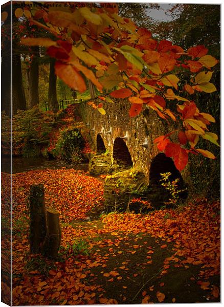 The colours of Autumn Canvas Print by pauline morris