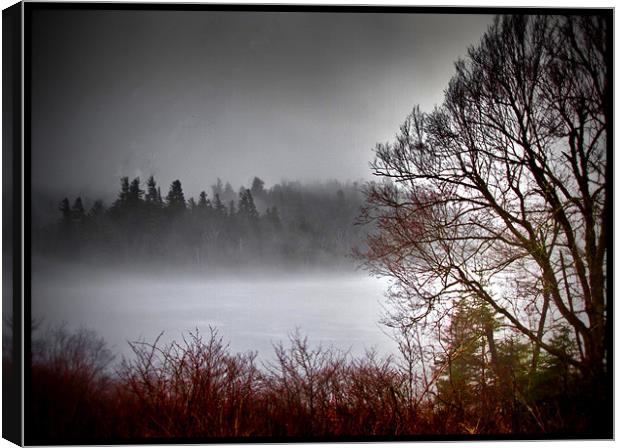 1000 lakes - Adirondacks, USA Canvas Print by pauline morris