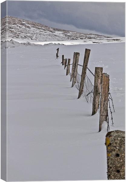 At the Silent Valley Canvas Print by pauline morris