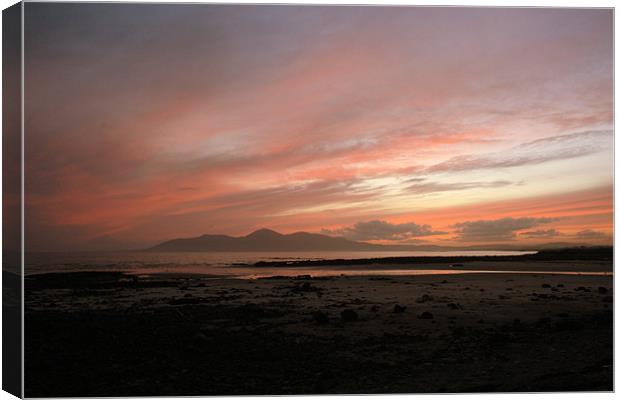 Mournes in the distance Canvas Print by pauline morris